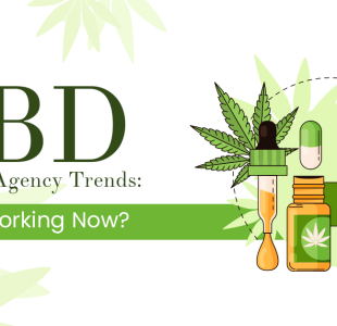 CBD Marketing Agency Trends